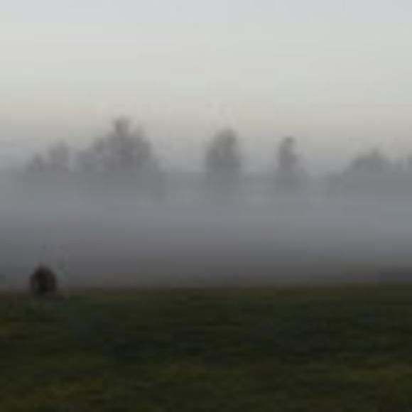 Meet your Posher, Kevin michael - Picture 1 of 1